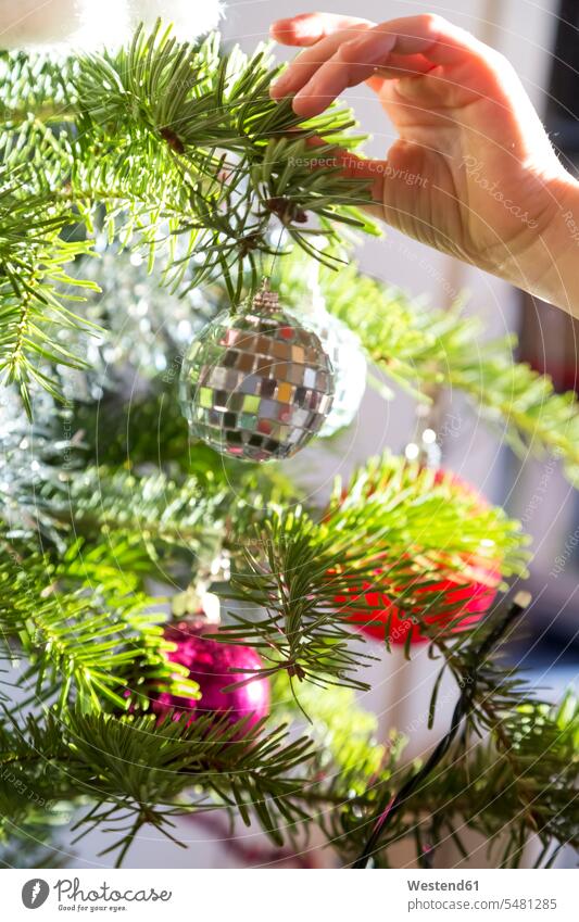 Hand of girl decorating Christmas tree caucasian caucasian ethnicity caucasian appearance european Tradition traditional Traditions christmas bauble