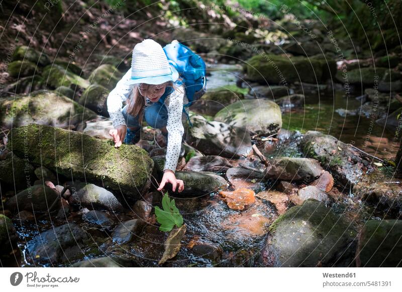 Little girl playing at brook in the woods brooks rivulet females girls water waters body of water child children kid kids people persons human being humans