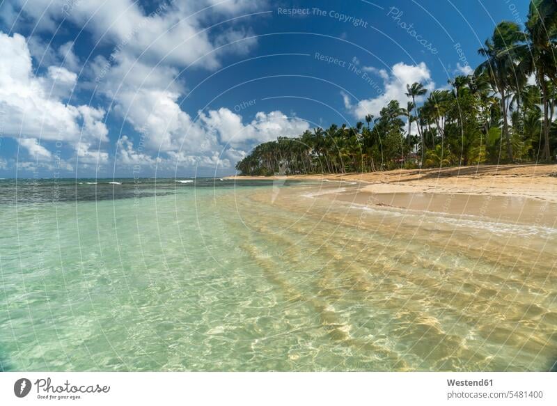 Dominican Republic, Peninsula Samana, Beach of Las Terrenas nature natural world Travel destination Destination Travel destinations Destinations dream vacation