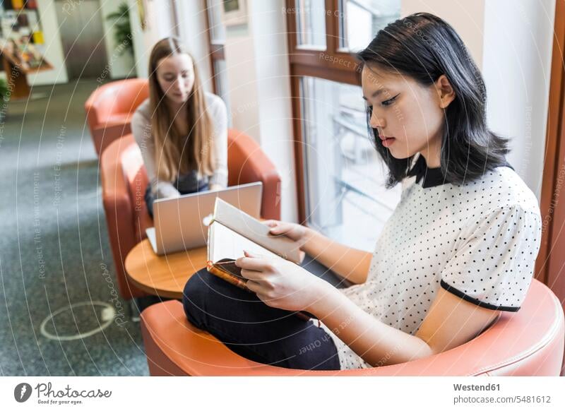 Teenage girl reading a book in a public library books reader readers Teenage Girls female teenagers sitting Seated Teenager Teens people persons human being