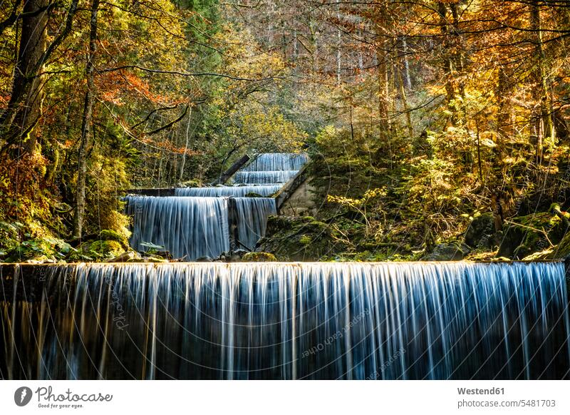 Germany, Reichenbach, Geissalptobel motion Movement moving mountain stream mountain streams Allgaeu brook brooks rivulet canyon canyons day daylight shot