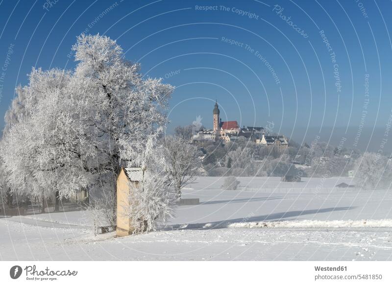 Germany, Bavaria, Pfaffenwinkel, frost at pilgrims' path to Andechs atmosphere atmospheric mood moody Atmospheric Mood Vibe Idyllic cold Cold Weather