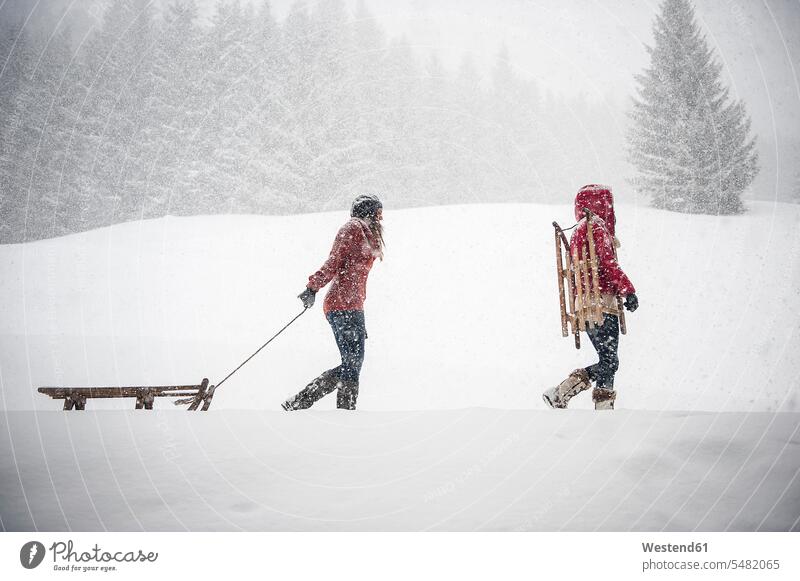 Two young women with sledges in heavy snowfall snowing winter hibernal woman females Adults grown-ups grownups adult people persons human being humans