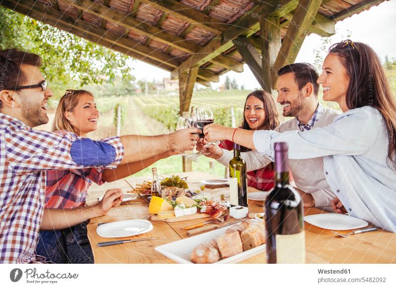 Friends clinking red wine glasses at table in vineyard toasting cheers friends Red Wine Red Wines smiling smile friendship Alcohol alcoholic beverage