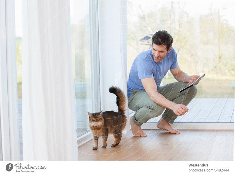 Man with digital tablet looking at cat Security Secure brown hair brown haired brown-haired brunette indoors indoor shot Interiors indoor shots interior view