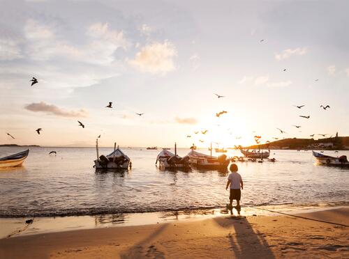 Venezuela, Isla Margarita, Juan Griego, back view of little boy standing at seafront by sunset summer summer time summery summertime outdoors outdoor shots