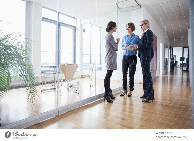 Three businesswomen discussing on office hall caucasian caucasian ethnicity caucasian appearance european day daylight shot daylight shots day shots daytime