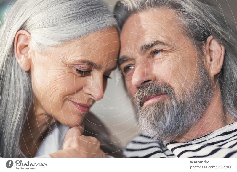 Portrait of an affectionate senior couple senior adults seniors old twosomes partnership couples happiness happy together sitting Seated home at home Adults