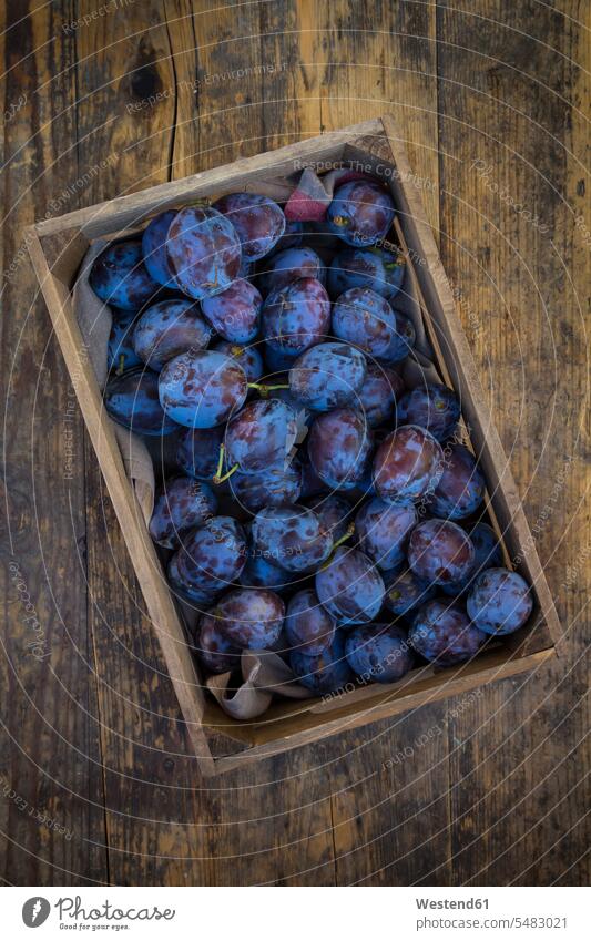 Wooden box of plums dark wood damson close-up close up closeups close ups close-ups wooden nobody studio shot studio shots studio photograph studio photographs