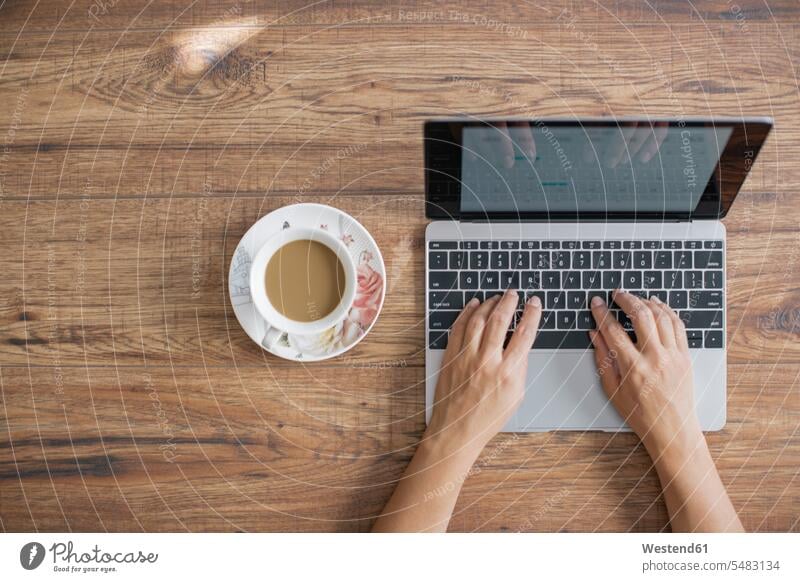 Hands of businesswoman at desk working on laptop At Work businesswomen business woman business women typing type hand human hand hands human hands desks