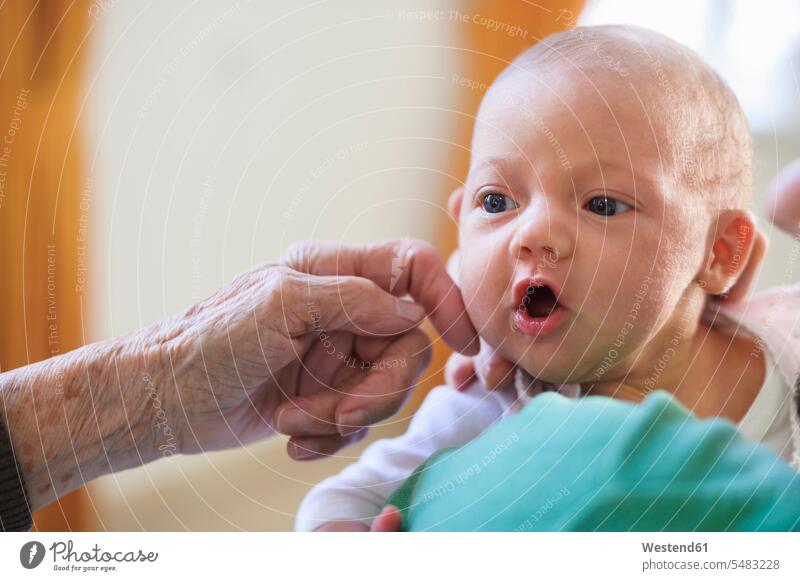 Old woman stroking her great granddaughter's cheek cute twee Cutie petting hand human hand hands human hands great-grandmother great-grandmothers amazement