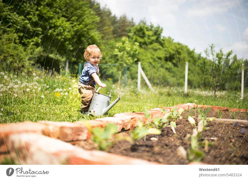 Little boy in the garden watering seedlings gardens domestic garden gardening yardwork yard work watering can watering cans caucasian caucasian ethnicity