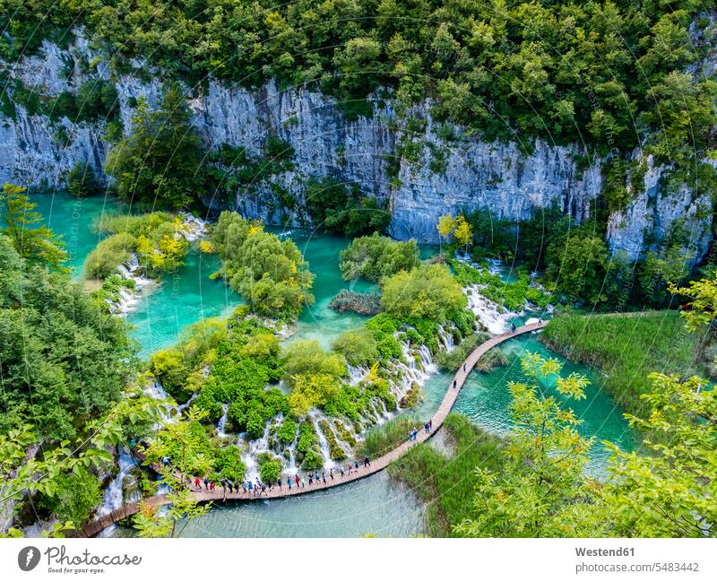 Croatia, Lika-Senj, Osredak, Plitvice Lakes National Park Unesco World Heritage Natural Site National Parks Tree Trees landscape landscapes scenery terrain