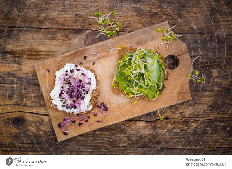 Cream cheese sandwich and sandwich with avocado cream garnished with radish sprouts herbs food and drink Nutrition Alimentation Food and Drinks snack Sprouting