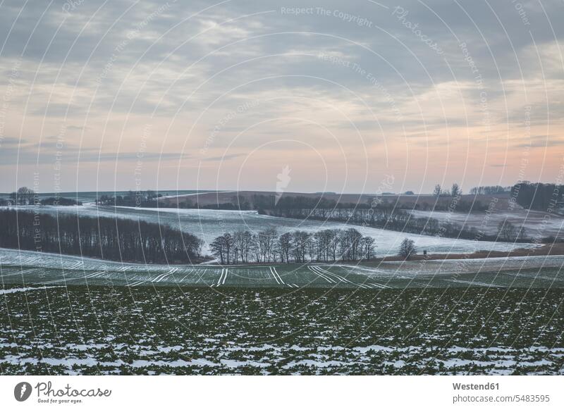 Germany, Mecklenburg-Western Pomerania, Ruegen, Fields in winter farmland cold Cold Weather Cold Temperature chilly nature natural world Baltic Sea island