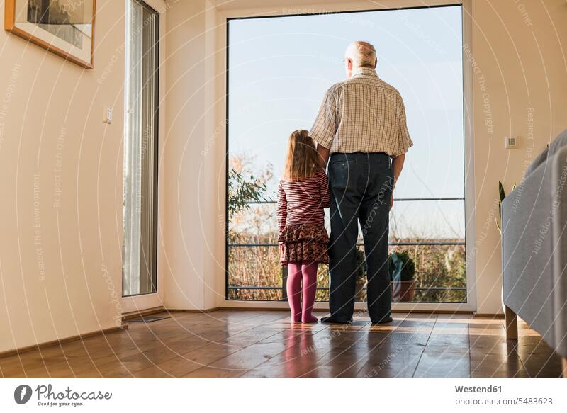 Grandfather and granddaughter looking out of window, rear view standing granddaughters watching together grandfather grandpas granddads grandfathers thinking