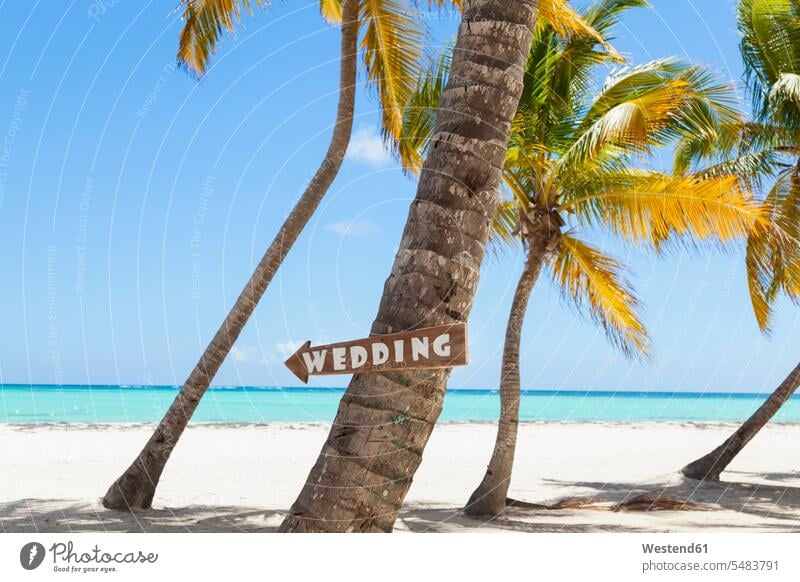 Dominican Rebublic, Tropical beach with palm trees and wedding sign Palm Palm Trees Palms Wedding getting married marrying Marriage beaches Celebration