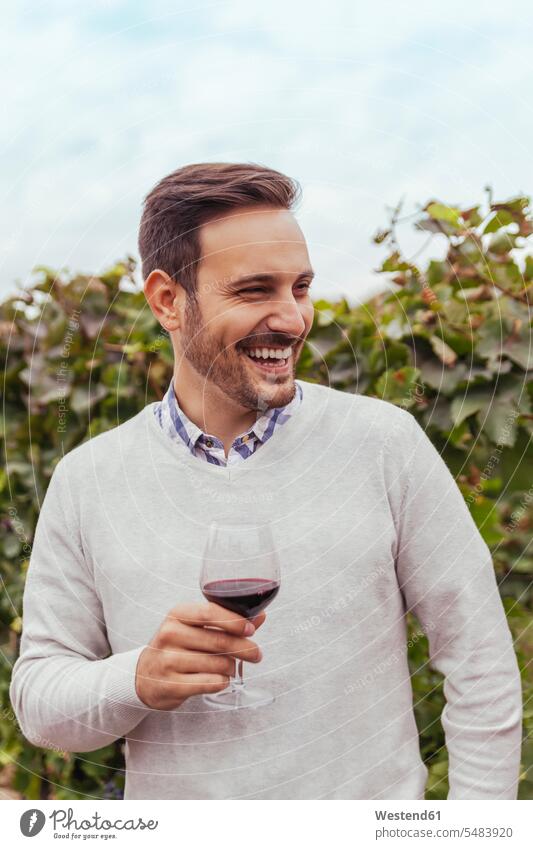 Happy young man in a vineyard holding glass of red wine - a Royalty ...