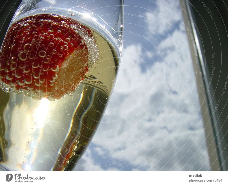 strawberry in champagne glass Sparkling wine Photographic technology Strawberry Glass Surrealism Sun Light (Natural Phenomenon)