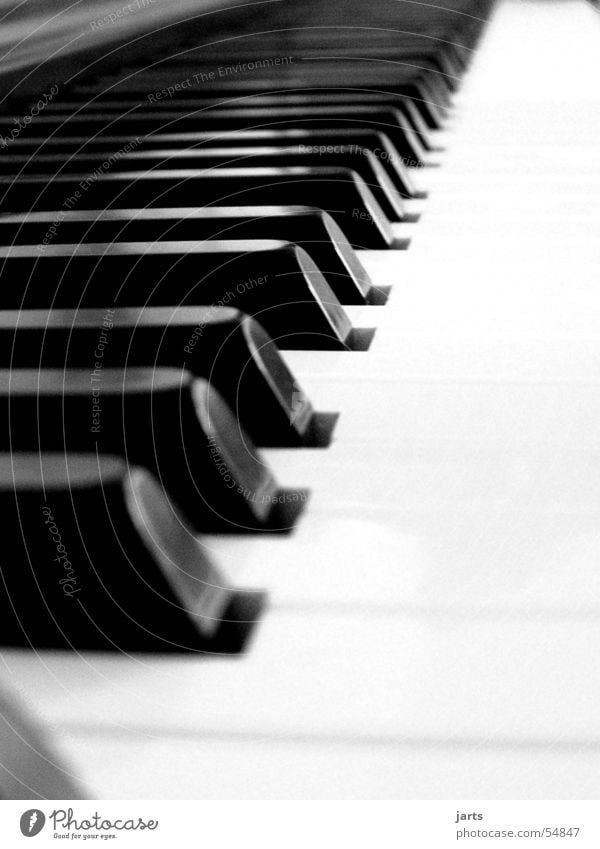 ...all piano Piano Musical instrument Media Joy Touch Musical notes Black & white photo jarts