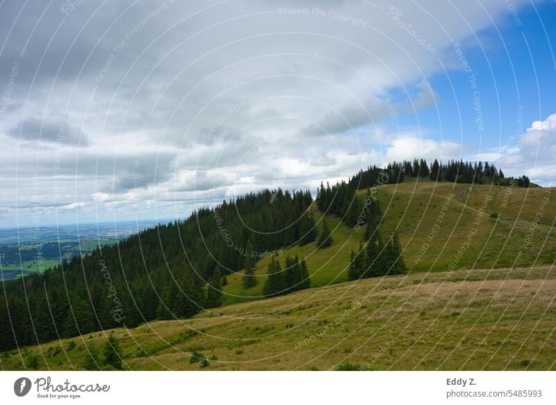 Alpine panorama view towards Edelsberg 1630m. Green forests. The Allgäu in the background. Hiking Alps Alpine pasture Pre-alpes Panorama (View) Panorama Alps