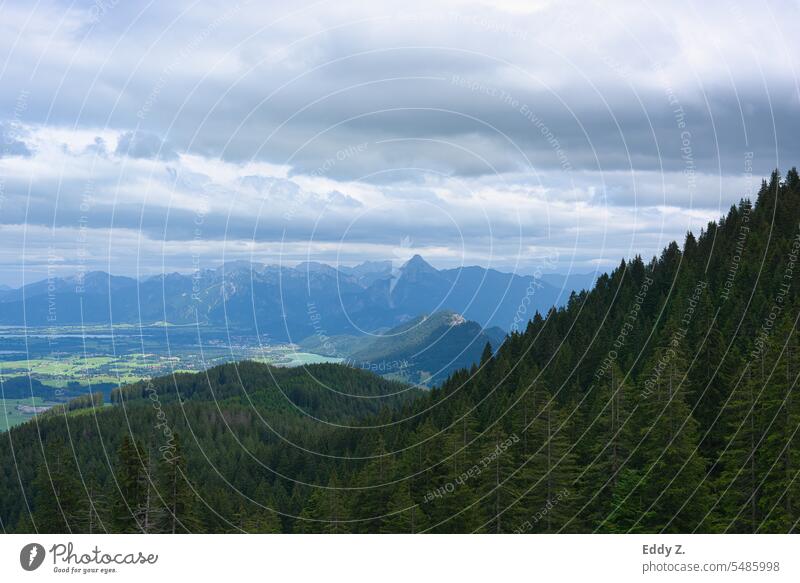 Alpine panorama view towards Ammergau Alps. Green forests in the foreground blue mountains in the background. Mountain Blue sky alpine panorama Nature Landscape