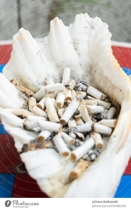 Large shell as ashtray smoking Smoking Smoke Nicotine odour Debauchery Tobacco Tobacco products Vice Addiction Addictive behavior Dependence Health hazard