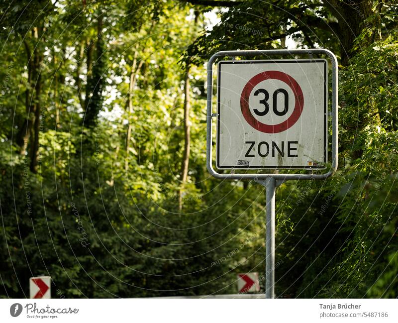 Zone 30 speed limit, sign in greenery 30 mph zone zone 30 Speed limit Road sign Slowly slow down Safety noise protection Signs and labeling Road traffic Signage