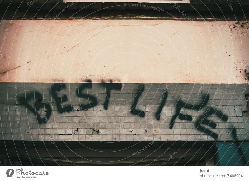 The best life Life Joie de vivre (Vitality) Happy Joy Contentment Text Word Typography Emotions Language Moody Letters (alphabet) English Daub house wall