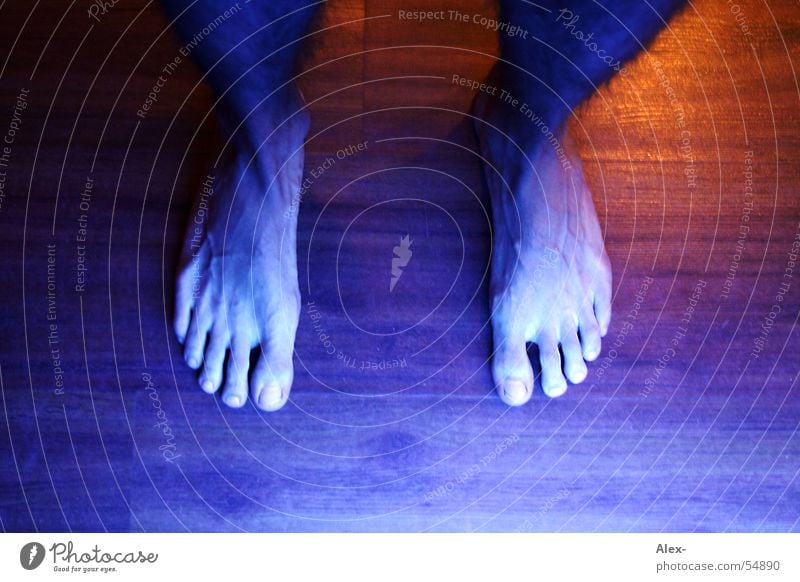 blue foot Stand Toes Barefoot Vessel Light Wood Parquet floor Feet Legs Walking Above Floor covering