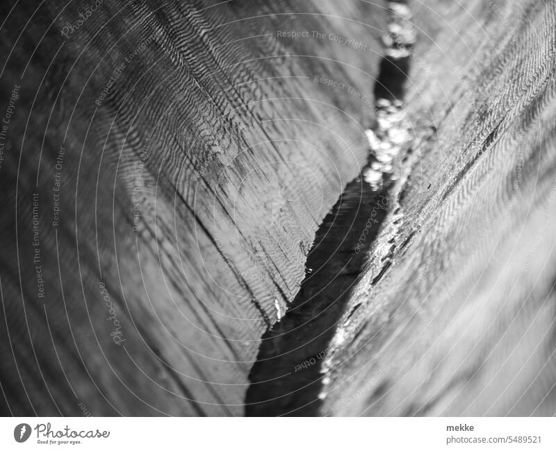 Autumn weather - wooden gutter Water Drainage Sink Basin Wood Transmission lines Collection Basin Forest Nature Black & white photo Empty aridity Rain