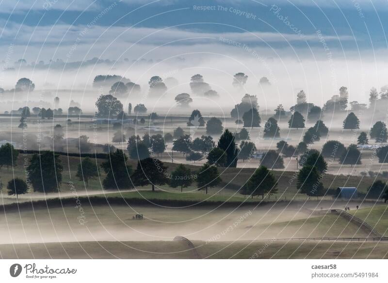 Great foggy pasture landscape in the early morning in Matamata, the true Hobbiton landscape, New Zealand trees scattered plain meadow scenic wide many clouds