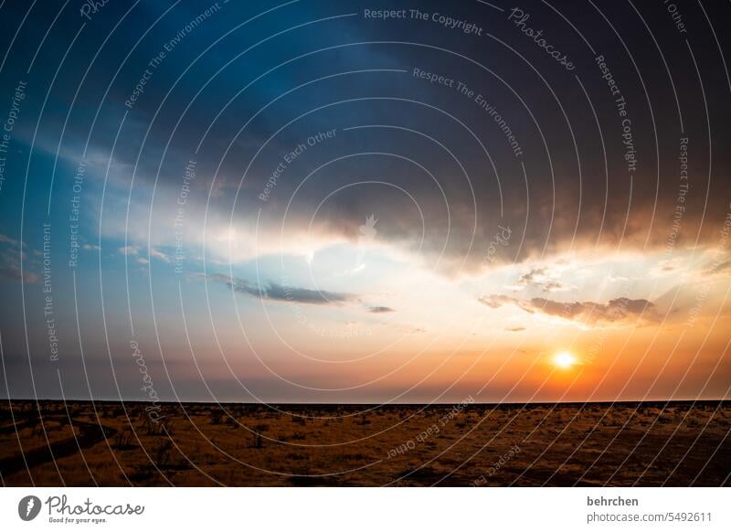 *4 5 0 0* sunshine stories Hope Dusk Sunset Evening Raincloud Storm Sunlight Sky Fantastic Clouds Etosha pan etosha national park Namibia Africa Light Landscape