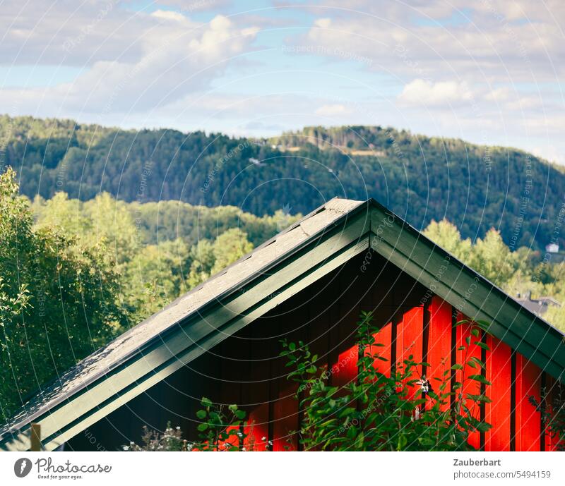 Gable of red wooden house in front of nature scenery in Norway pediment Red Wood House (Residential Structure) Wooden house Scandinavia Swede Green Forest