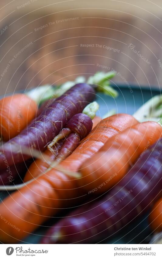 Crisp carrots, very fresh from the raised bed Yellow turnips Carrots Vegetable Food Healthy Eating Nutrition Vegetarian diet Organic produce Food photograph