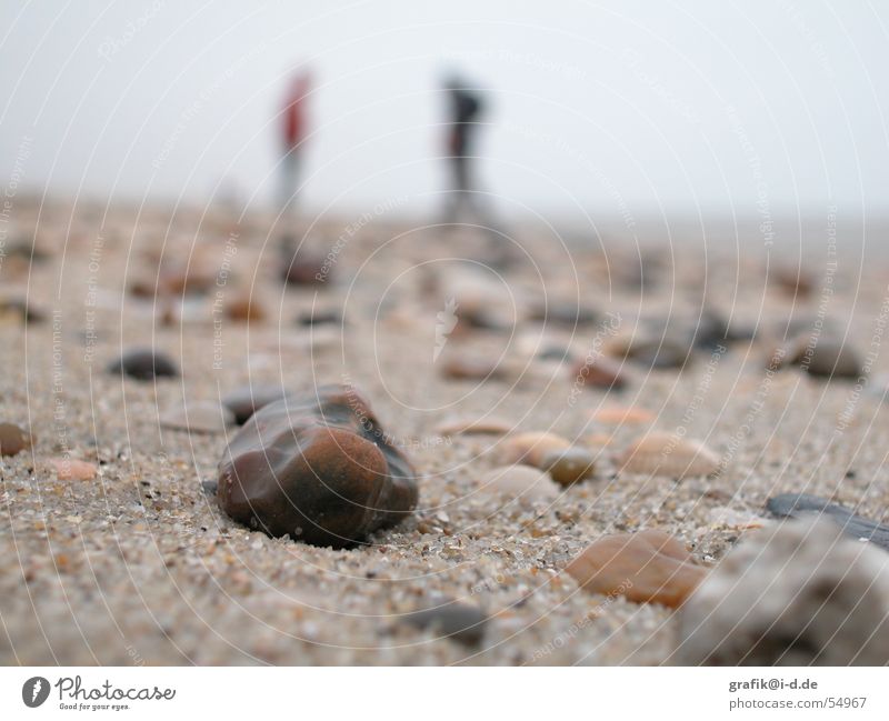sand on the beach Beach Ocean Winter Blur Day Near Human being Couple Multiple Stone Sand Deep Detail In pairs