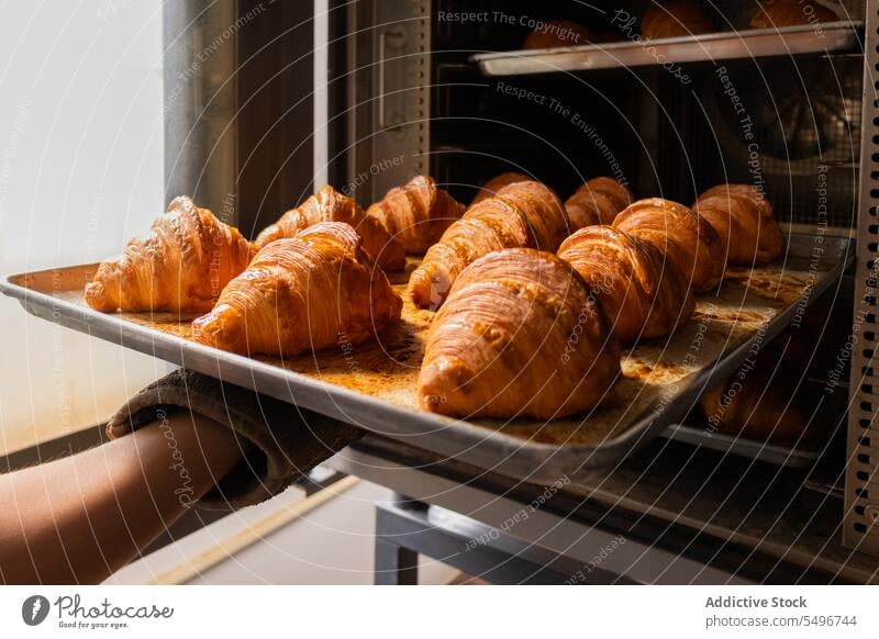 Freshly baked croissants on counter in bakery oven delicious pastry fresh tray hand tasty food homemade kitchen yummy cuisine dessert meal product sweet
