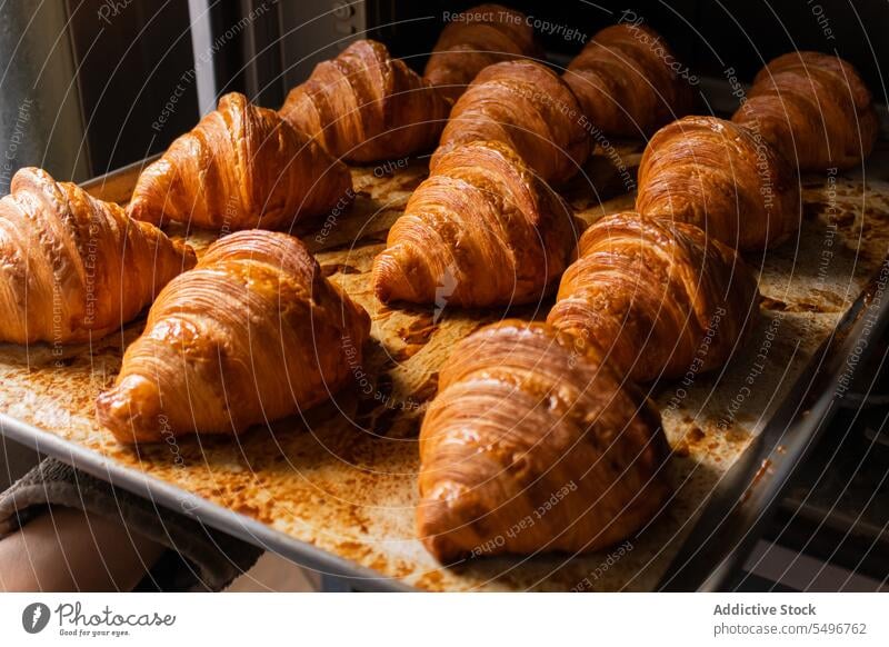Freshly baked croissants on counter in bakery oven delicious pastry fresh tray hand tasty food homemade kitchen yummy cuisine dessert meal product sweet