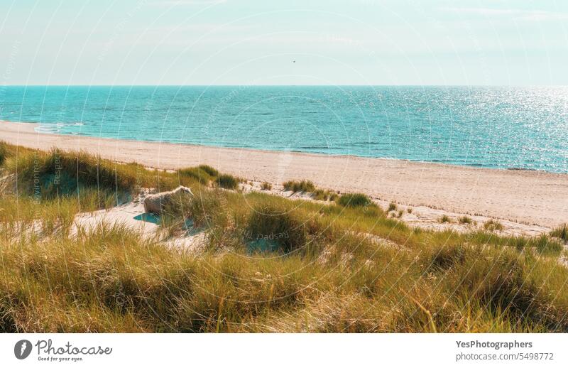 Landscape on Sylt island with marram grass dunes and the North Sea autumn background beach beautiful beauty blue bright coast coastline color empty environment