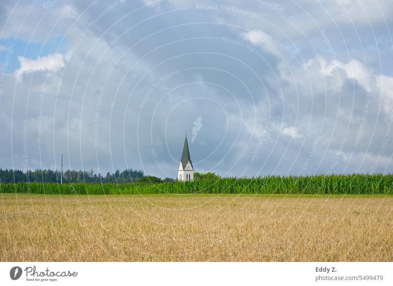 On the horizon, the spire of a church rises majestically against the sky. Wide fields spread out in the foreground, forming the rural landscape in gentle waves and offering a tranquil, idyllic view.