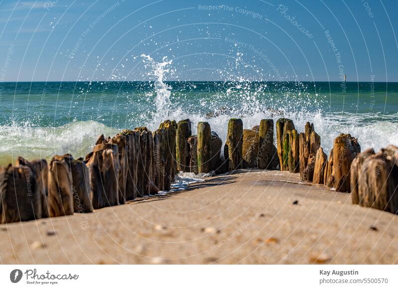 Surf waves North Sea swell Swell North Sea coast Bird Wave action Waves Photography Beach Sun Ocean new jaw birds Neognathae Texture of wood Wood grain