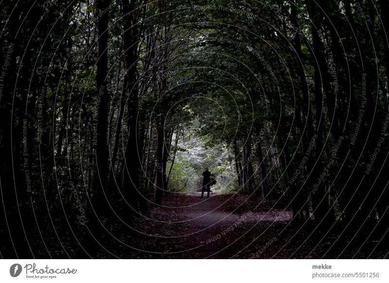 Parallel world | The tunnel inside Tunnel Light Tunnel vision Lanes & trails Passage Shadow Silhouette Pedestrian Back-light Human being Dark Forest forest path