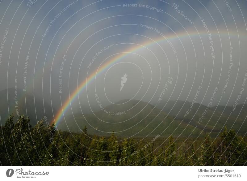 Alaska | Rainbow Landscape mountains Forest wooded Sun double rainbow Blue Green Prismatic colors Weather Nature Wilderness Lonely lonely landscape Sunlight