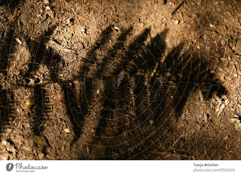 A girl with colorful striped stockings stands on the shadow of a