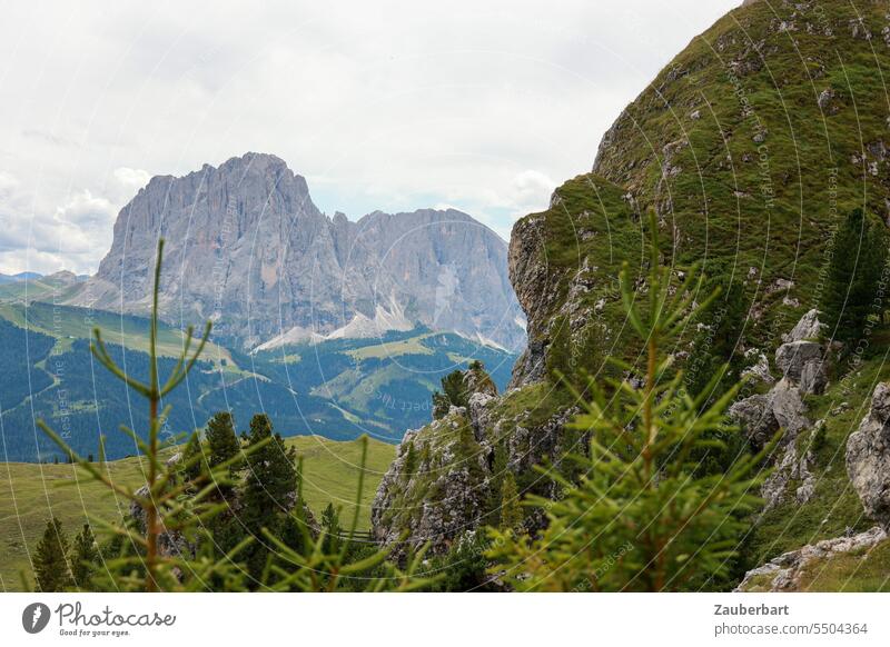 Mountain panorama, green meadow with conifers, sky with clouds mountain Alps Peak Clouds Green Landscape South Tyrol Hiking wanderlust Class outing