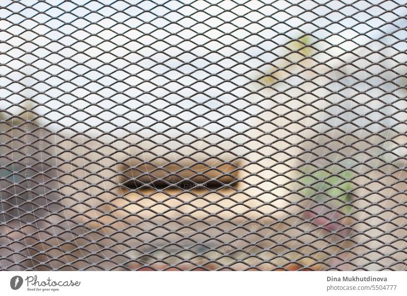 Metal grid. Metallic net fence pattern. Boundaries, store closing, urban planning, architecture, border between people and countries concept, frontier. metallic