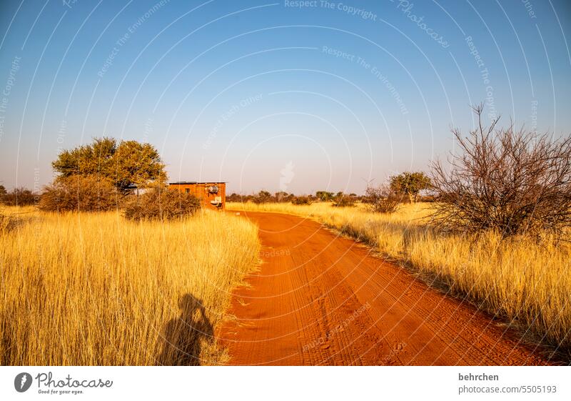 away stories Sunlight Shadow travel Impressive magical Sand Sunset Twilight Evening Dusk Wilderness Camping site camp campsite Wanderlust Far-off places Namibia