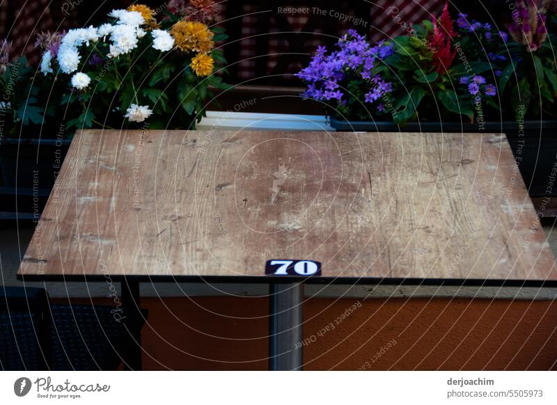 Please take a seat.  Table No. 70 is still free. Bouquet Decoration Colour photo Deserted Day flowers Blossom Flower Summer pretty Blossoming No.70