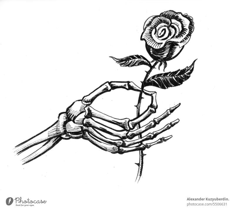 Skeleton hand with a rose art artwork black and white dead death drawing flower illustration skeleton sketch tattoo