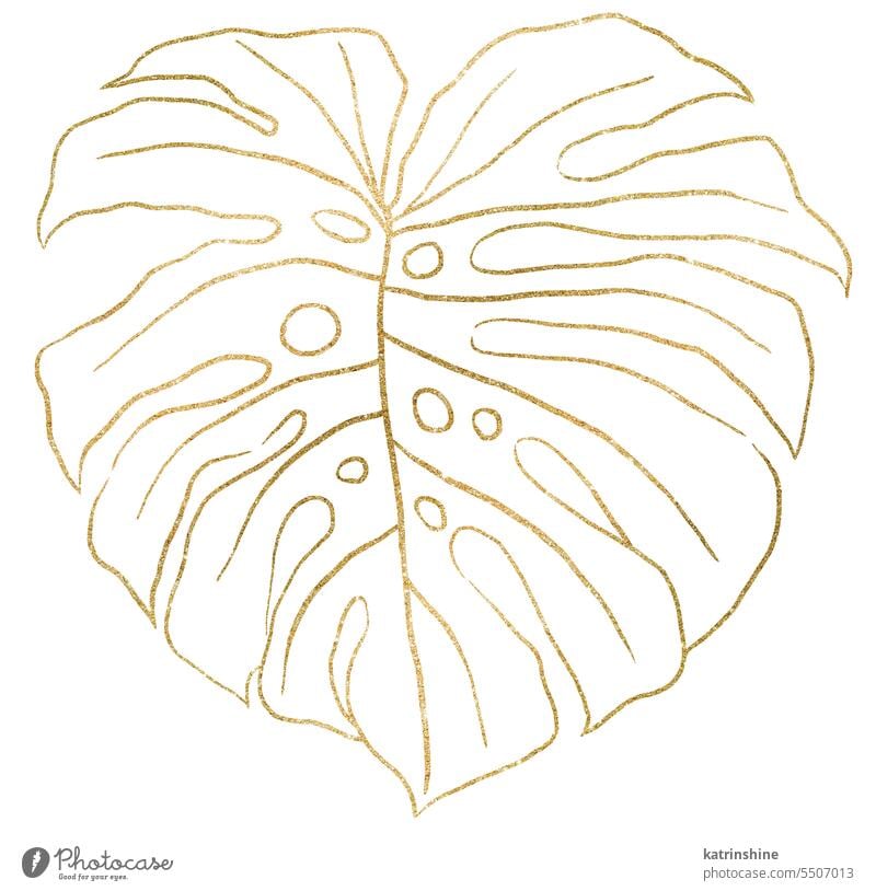Golden outlines tropical monstera leaf illustration isolated element Botanical Decoration Element Exotic Foliage Hand drawn Isolated Outlines Summer bohemian